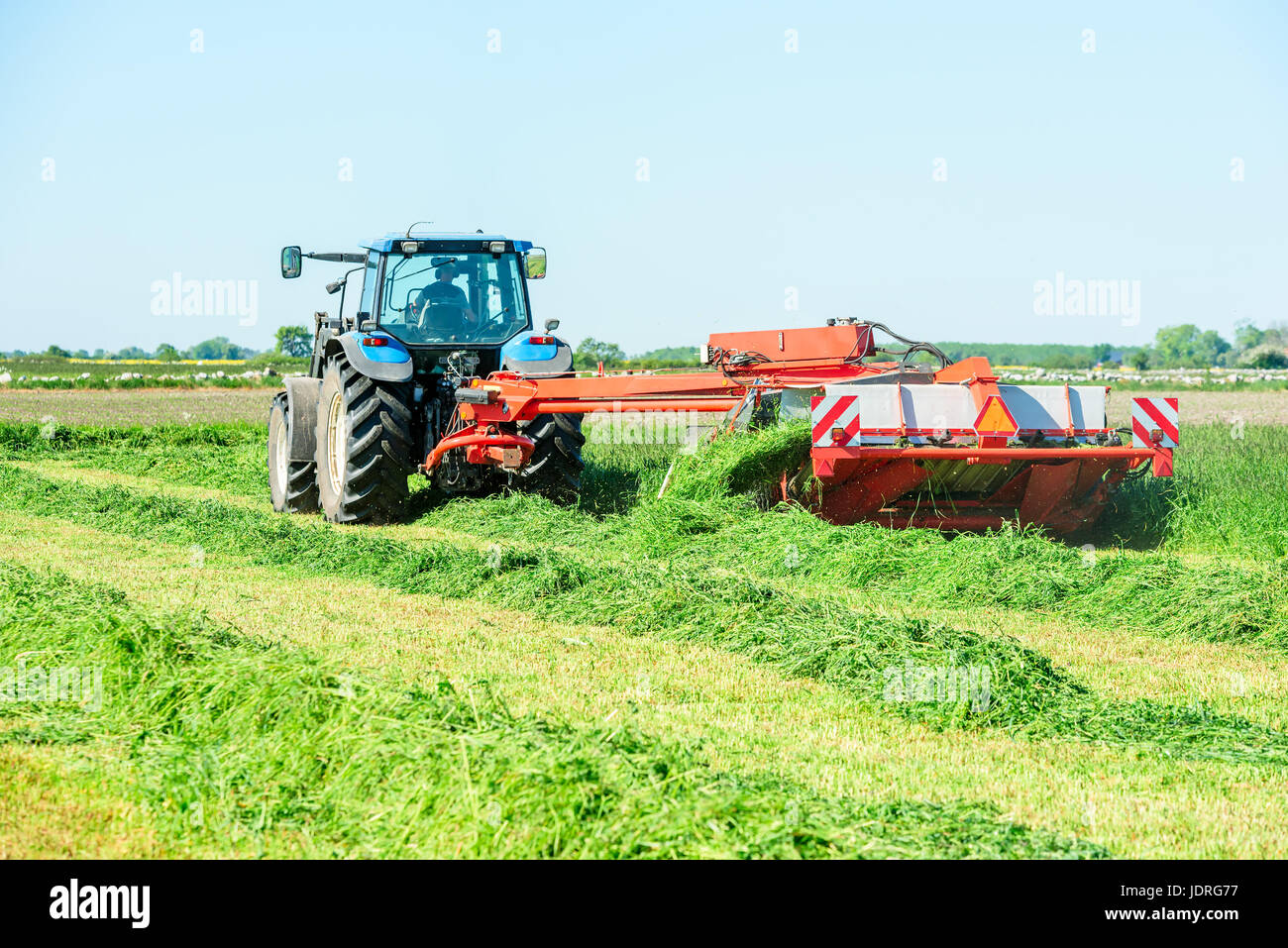 Trattore con fieno tosaerba per taglio di erba per fieno su un campo. Foto Stock