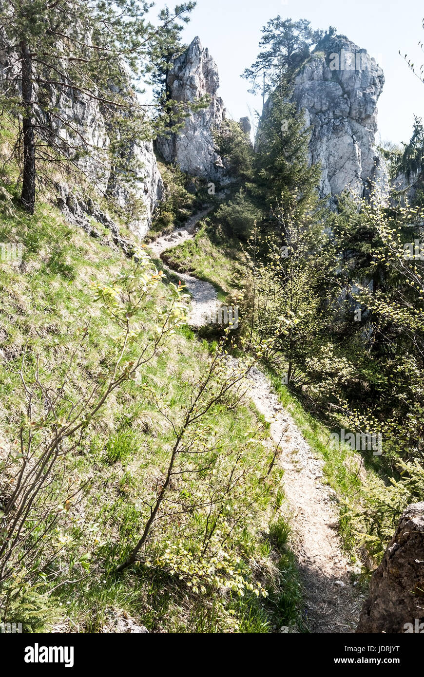 Stretto sentiero escursionistico sul sip montagna cresta in Velka Fatra montagne in Slovacchia con rocce calcaree e cielo chiaro durante la bella giornata di primavera Foto Stock