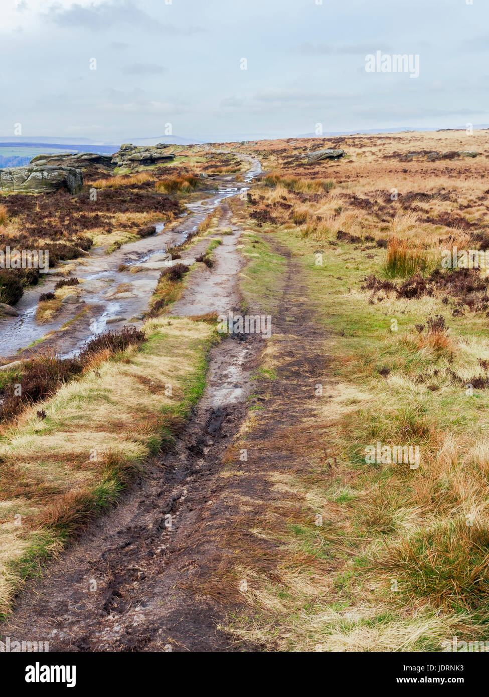 Sull'erba e bracken coperto moor terra un sentiero fangoso recede a distanza Foto Stock