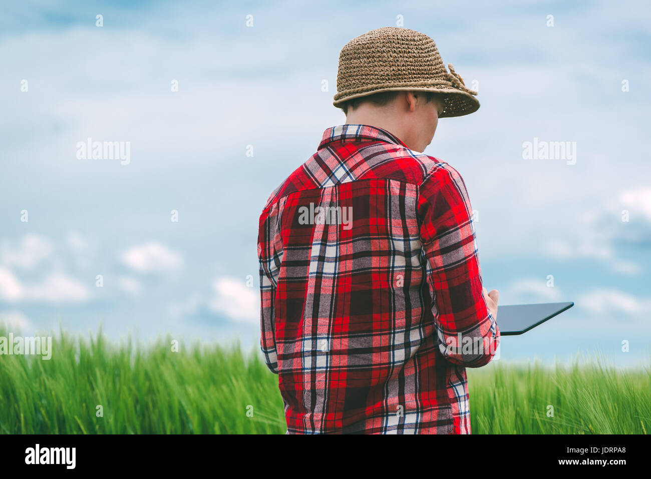 Utilizzando tablet nella produzione agricola, femmina agricoltore in coltivazioni di grano campo con elettronica moderna Foto Stock