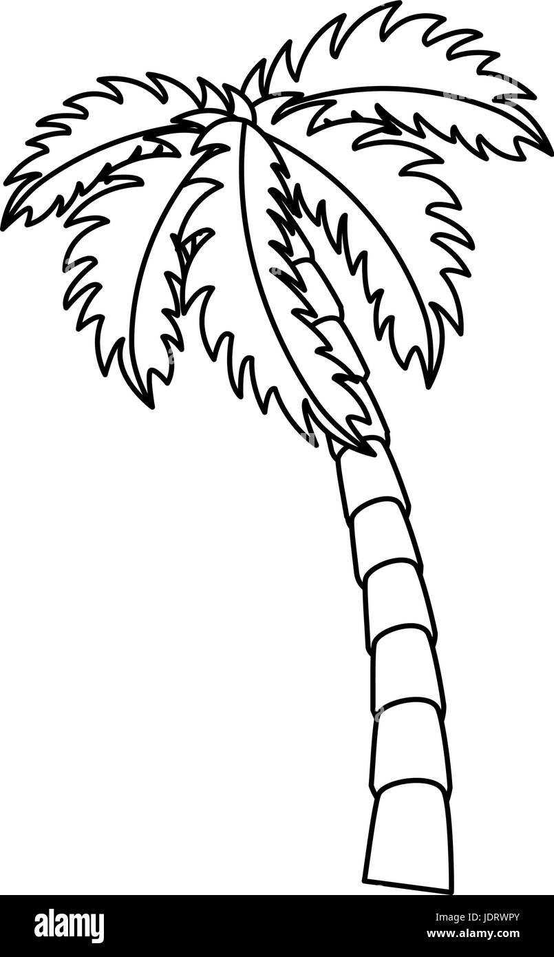 Spiaggia isolata palm vettore icona illustrazione grafica Illustrazione Vettoriale