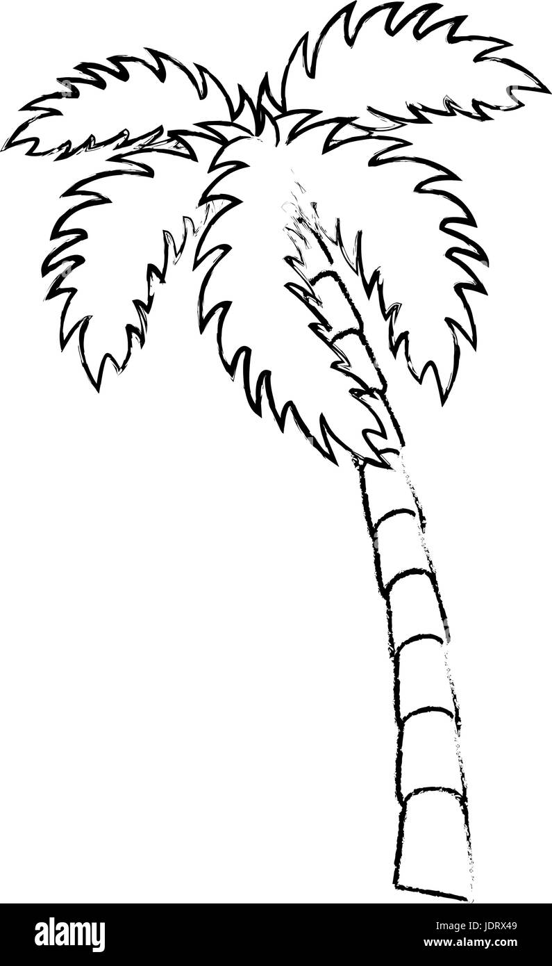 Spiaggia isolata palm vettore icona illustrazione grafica Illustrazione Vettoriale