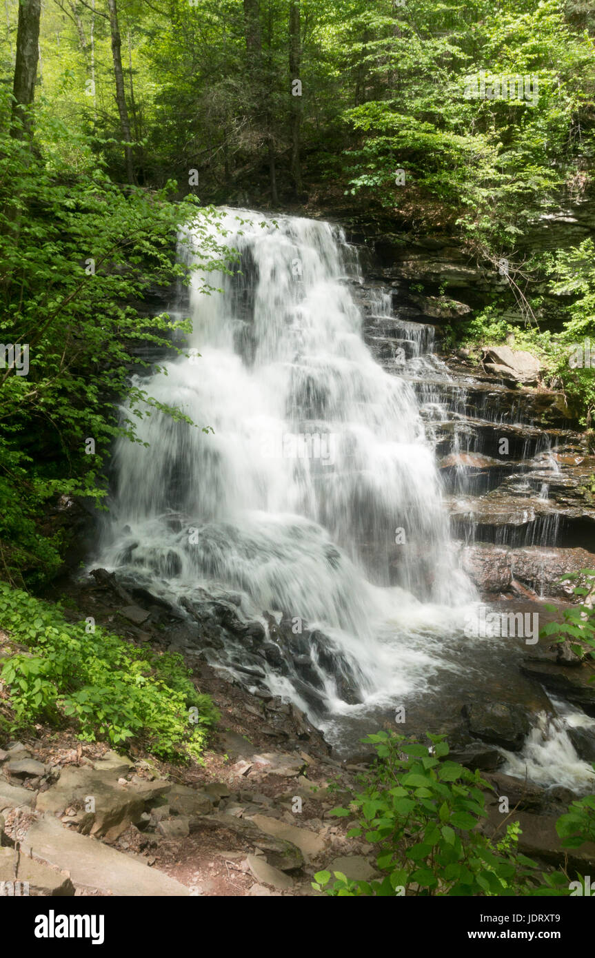 Ricketts Glen caduta Foto Stock