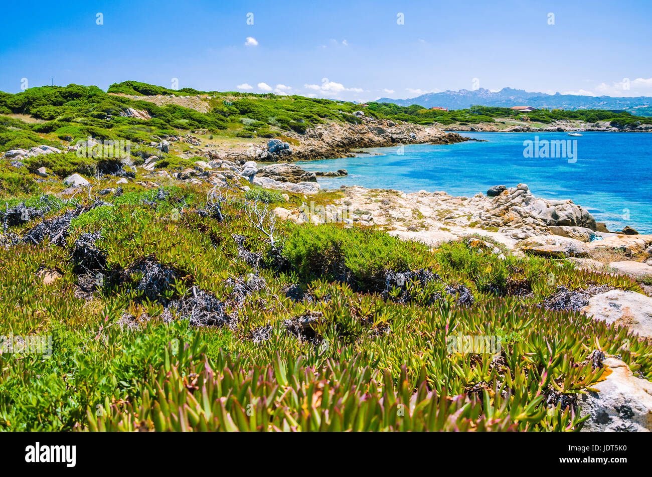 Bella costline con rocce granitiche e fantastiche acque azzurre sul Porto Pollo, Sardegna, Italia. Foto Stock