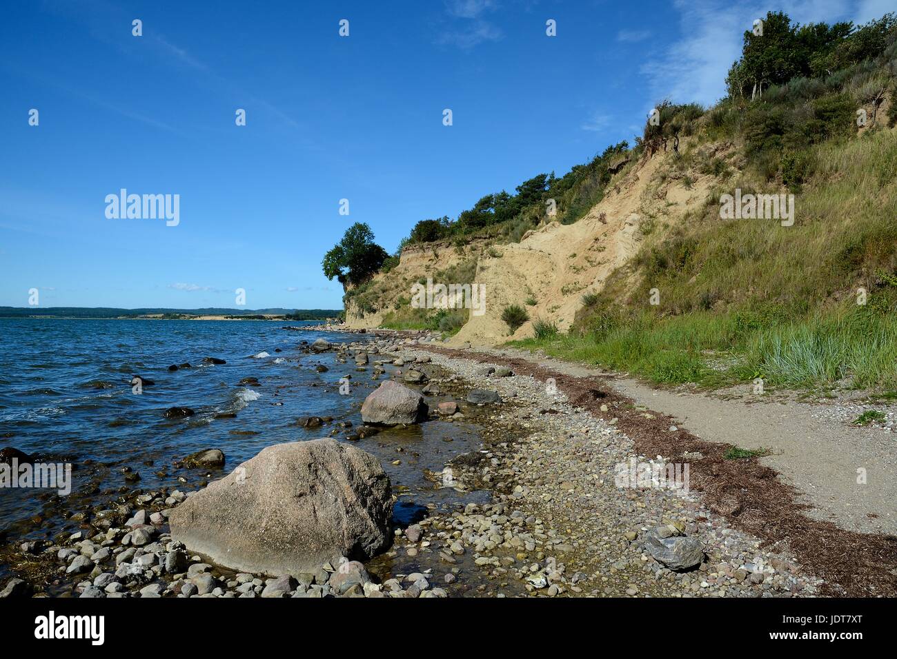 Höft Reddevitzer Foto Stock