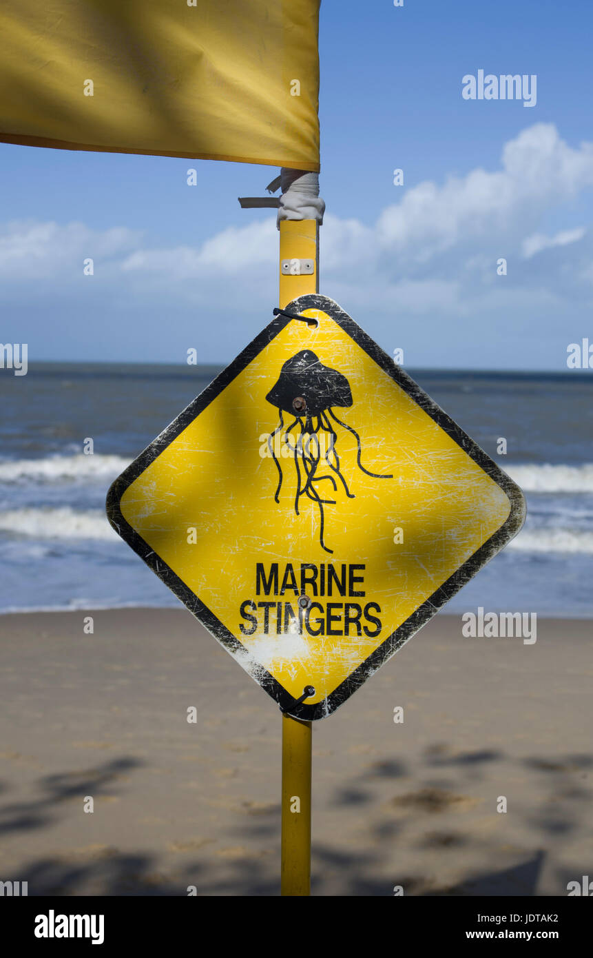 Palm Cove, vicino a Cairns, Queensland, Australia Foto Stock