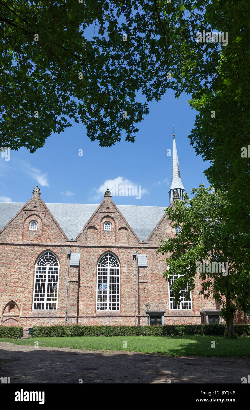Chiesa giacobina e cielo blu nel centro di leeuwarden nei Paesi Bassi sulla soleggiata giornata estiva Foto Stock