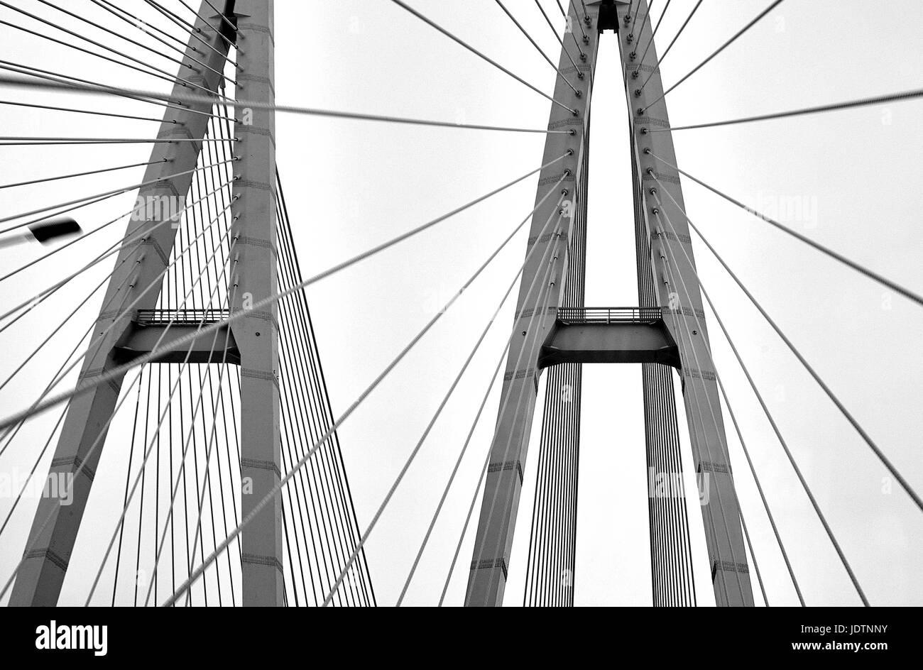 Cavo alloggiato a ponte sul fiume Neva Foto Stock
