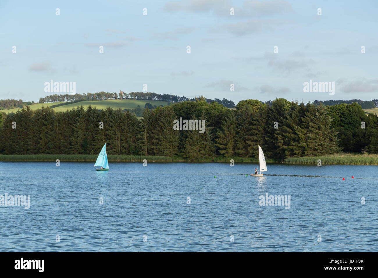 Barche a vela su Forfar Loch con una vista del monumento Balmashanner in background Foto Stock