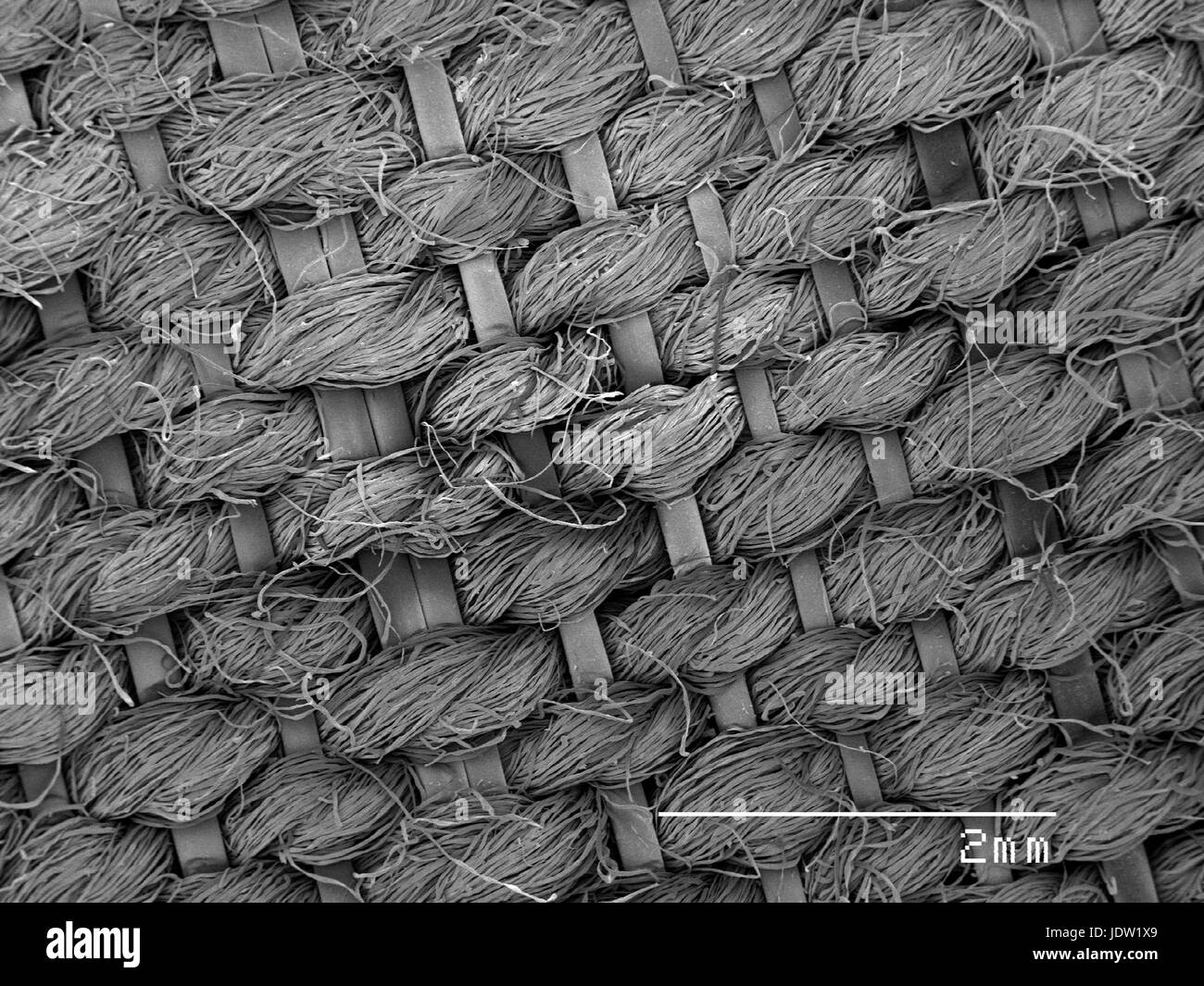 Vista ingrandita di crinolina di tessuto Foto stock - Alamy