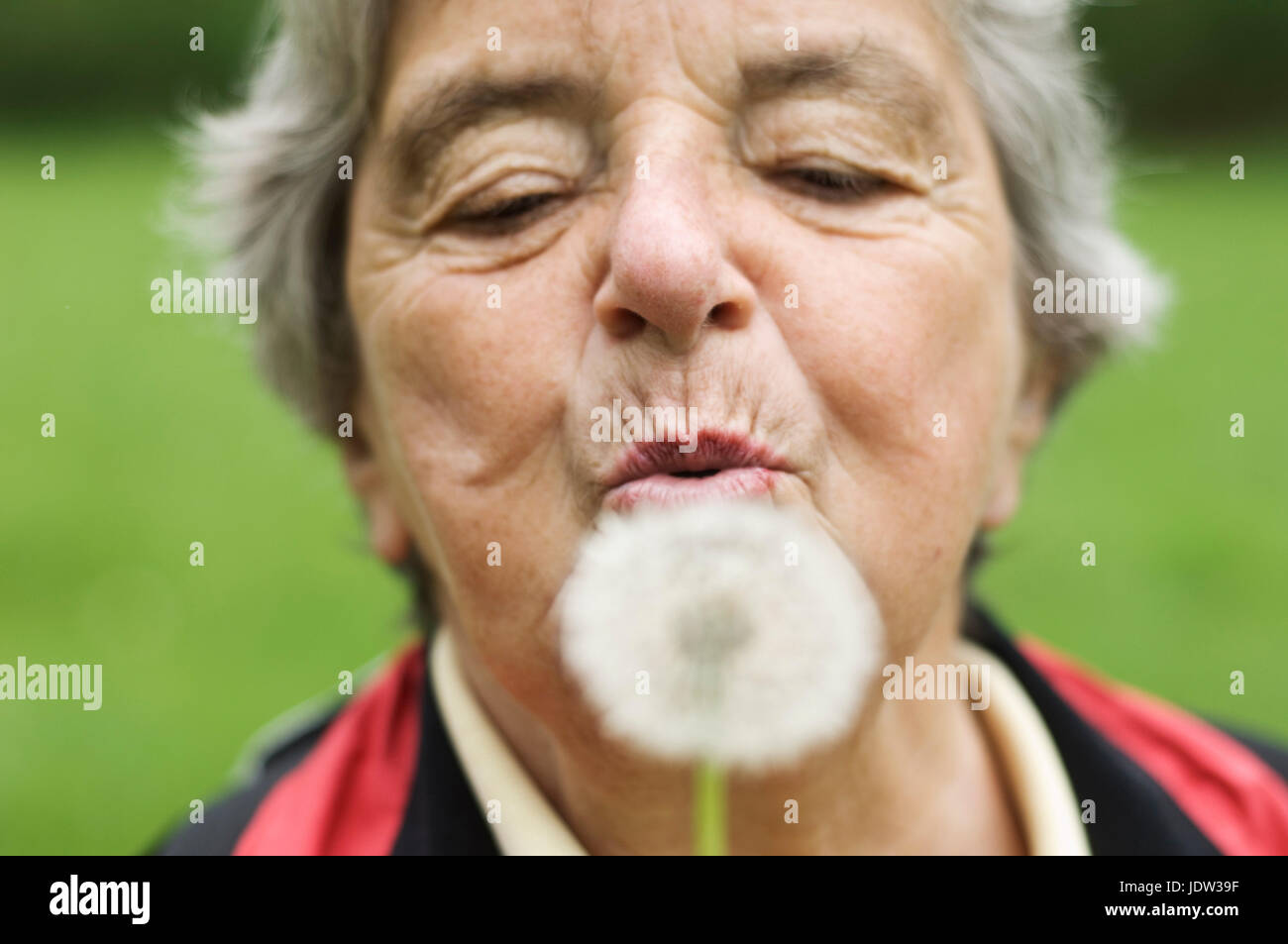 Donna anziana soffiando tarassaco in posizione di parcheggio Foto Stock