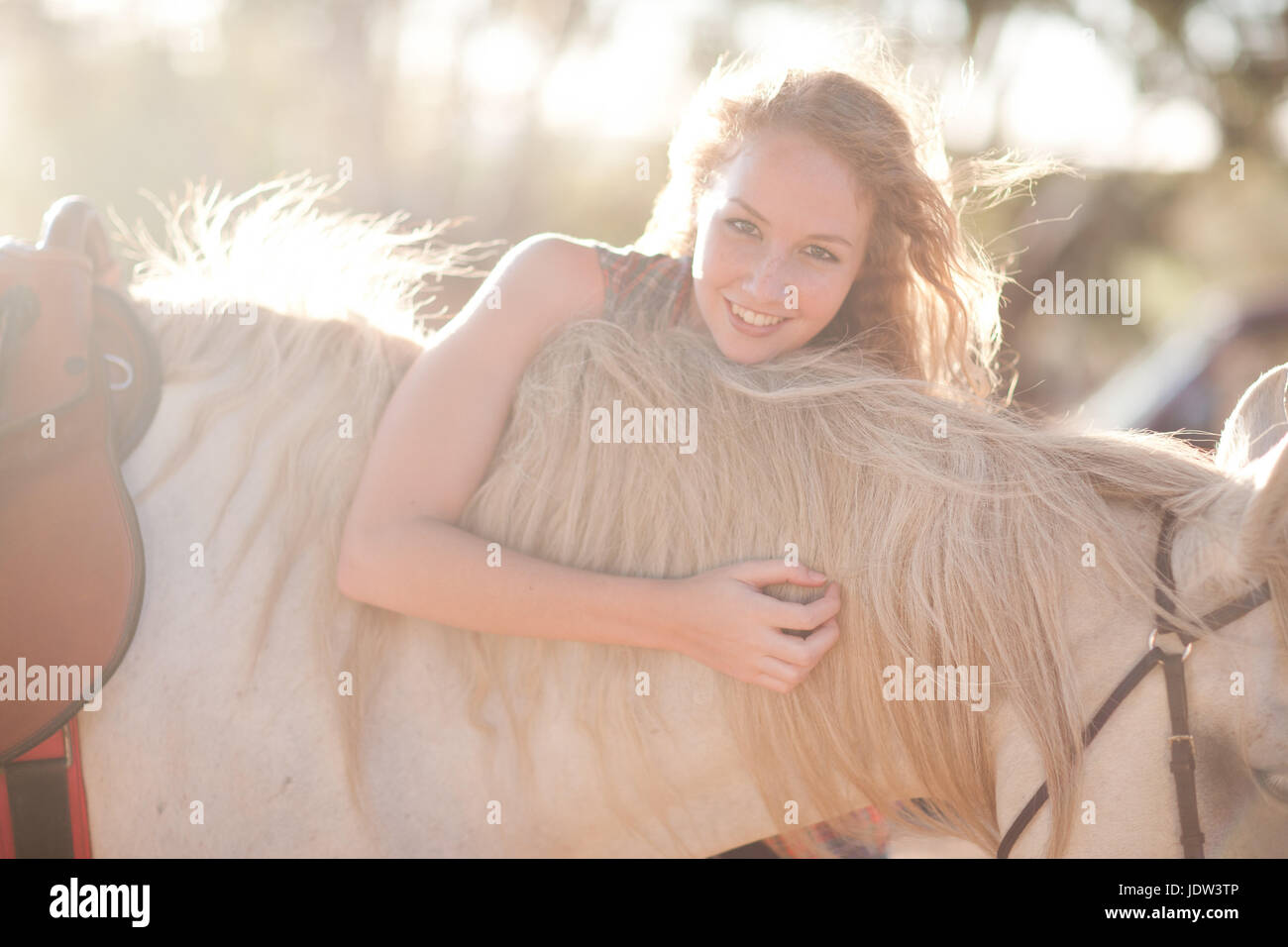 Giovane donna di toccare il cavallo uomo Foto Stock