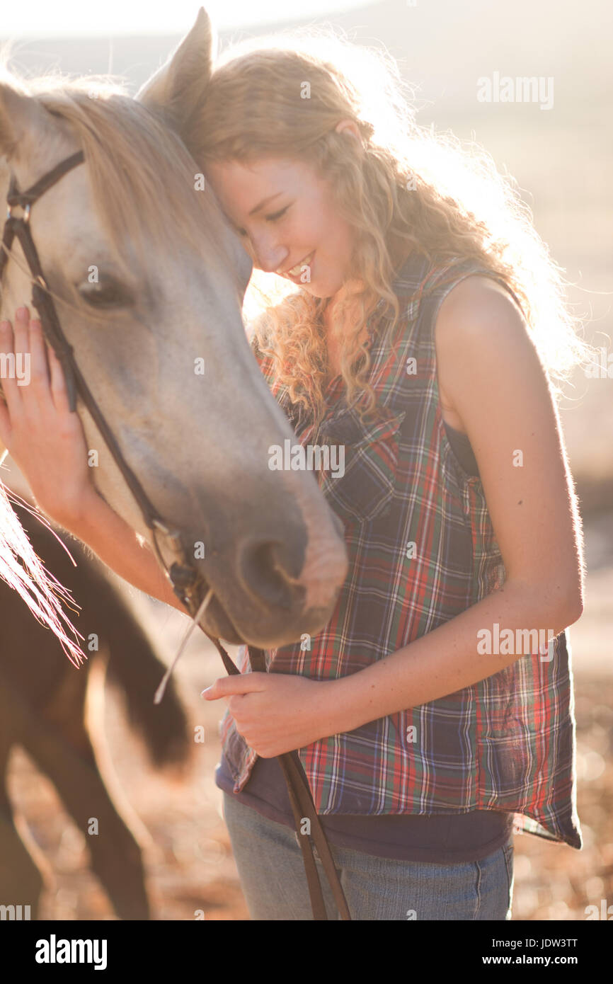 Giovane donna toccando cavallo del volto Foto Stock