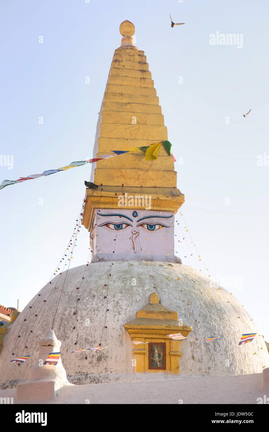 Stupa, Boudhanath, Kathmandu, Nepal Foto Stock