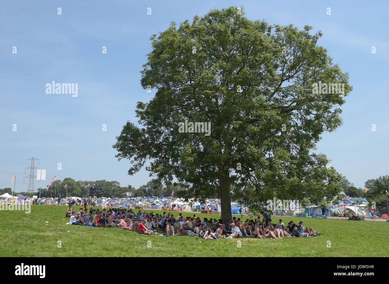 Persone ombreggiatura da sole sotto un albero durante il festival di Glastonbury presso l'azienda agricola degna in Pilton, Somerset. Foto Stock