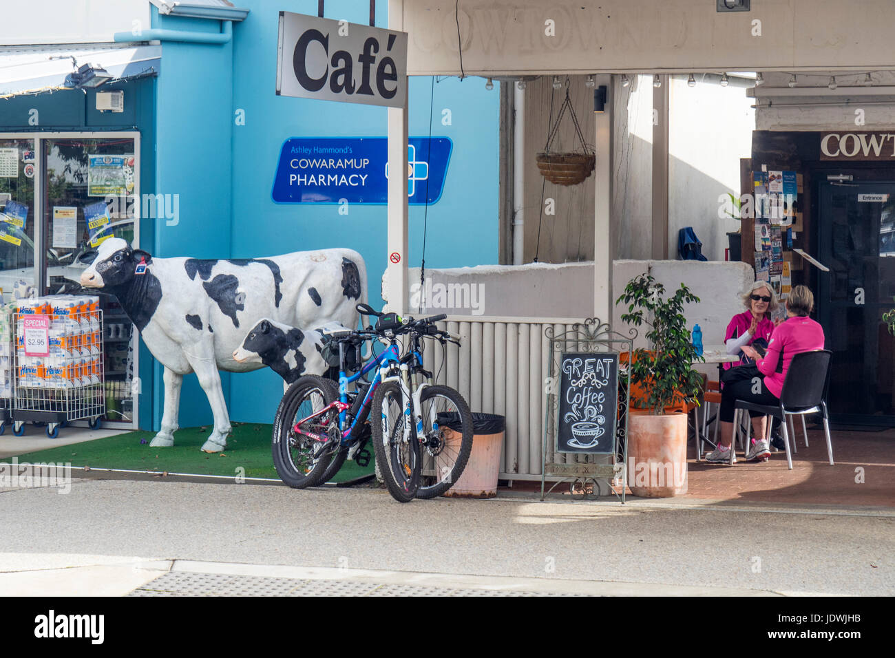 Due ciclisti femmina avente un caffè in un bar accanto ad una dimensione di vita vetroresina mucca scultura in Cowaramup, Western Australia. Foto Stock