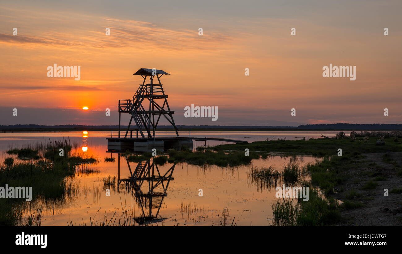 Tramonto sul lago. Bird watching torre. Engures lago. Lettonia Foto Stock