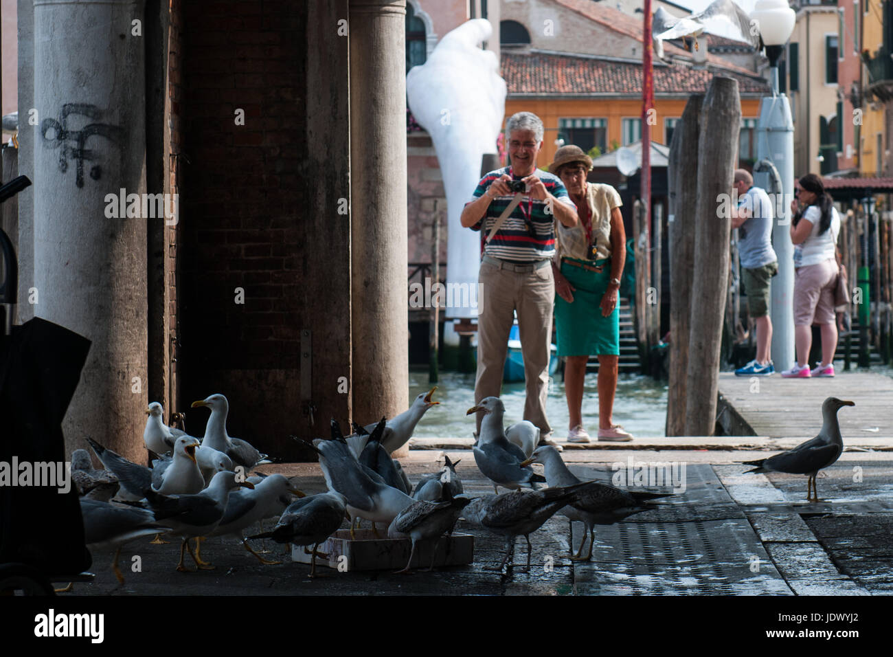 Venezia - 12 Giugno, 2017. I turisti scattare alcune foto dei gabbiani mangiare pesce al di Rialto Mercato del pesce a Venezia, Italia. Foto Stock