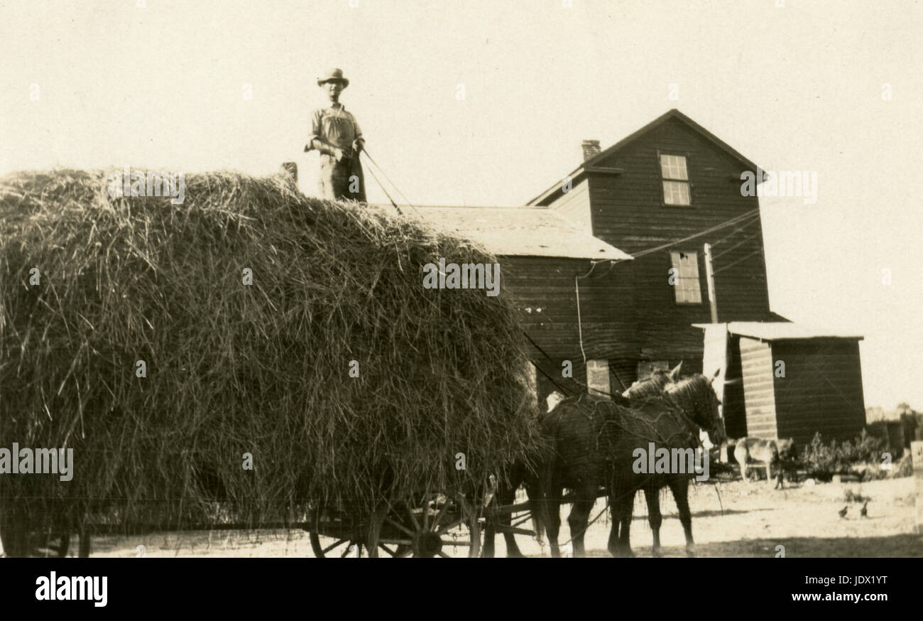 Antique c1922 fotografia, agricoltore a cavallo carro autocaricante La posizione è probabilmente Mankato, Minnesota. Fonte: fotografia originale. Foto Stock