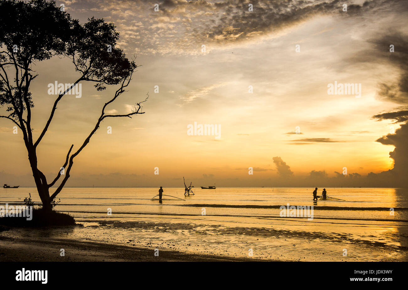 Albero solitario golden sunrise pescatori pesca net Tan Thanh beach Go Cong Tien Giang Viet Nam Foto Stock