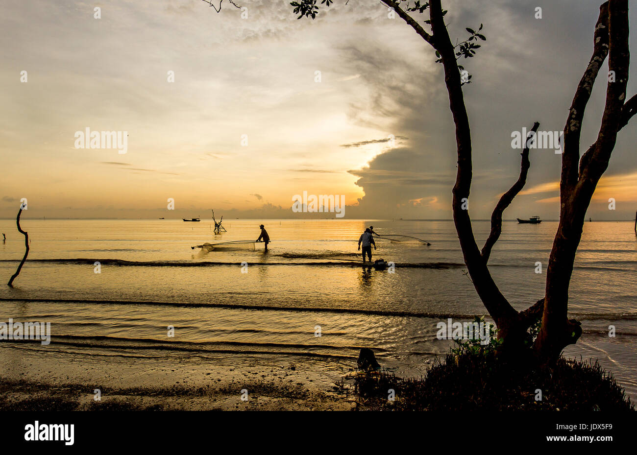 Albero solitario golden sunrise pescatori pesca net Tan Thanh beach Go Cong Tien Giang Viet Nam Foto Stock
