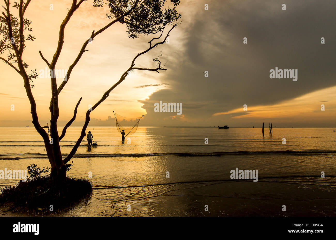 Albero solitario golden sunrise pescatori pesca net Tan Thanh beach Go Cong Tien Giang Viet Nam Foto Stock