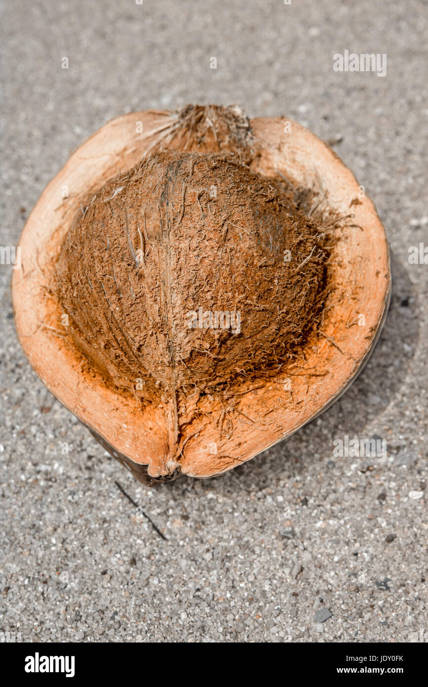 Fresche noce di cocco aperta sulla spiaggia in Thailandia. Foto Stock