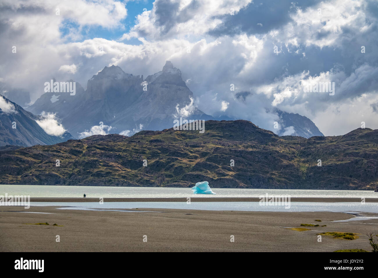 Iceberg galleggiante sul lago grigio del Parco Nazionale Torres del Paine - Patagonia, Cile Foto Stock