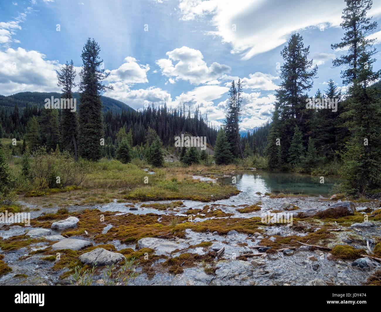 Torrenti di montagna Foto Stock