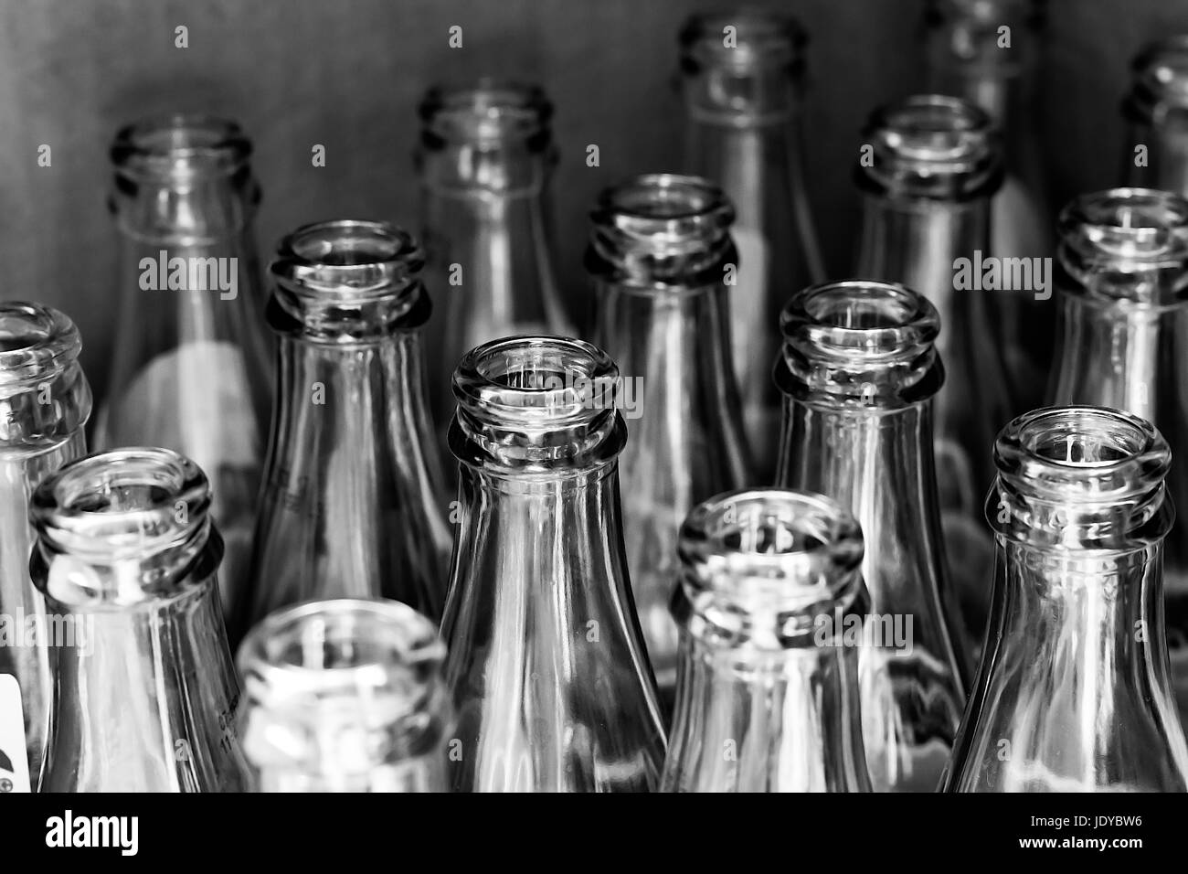 Monocromatico di bottiglie di vetro in un caso bagnato dal sole. Foto Stock