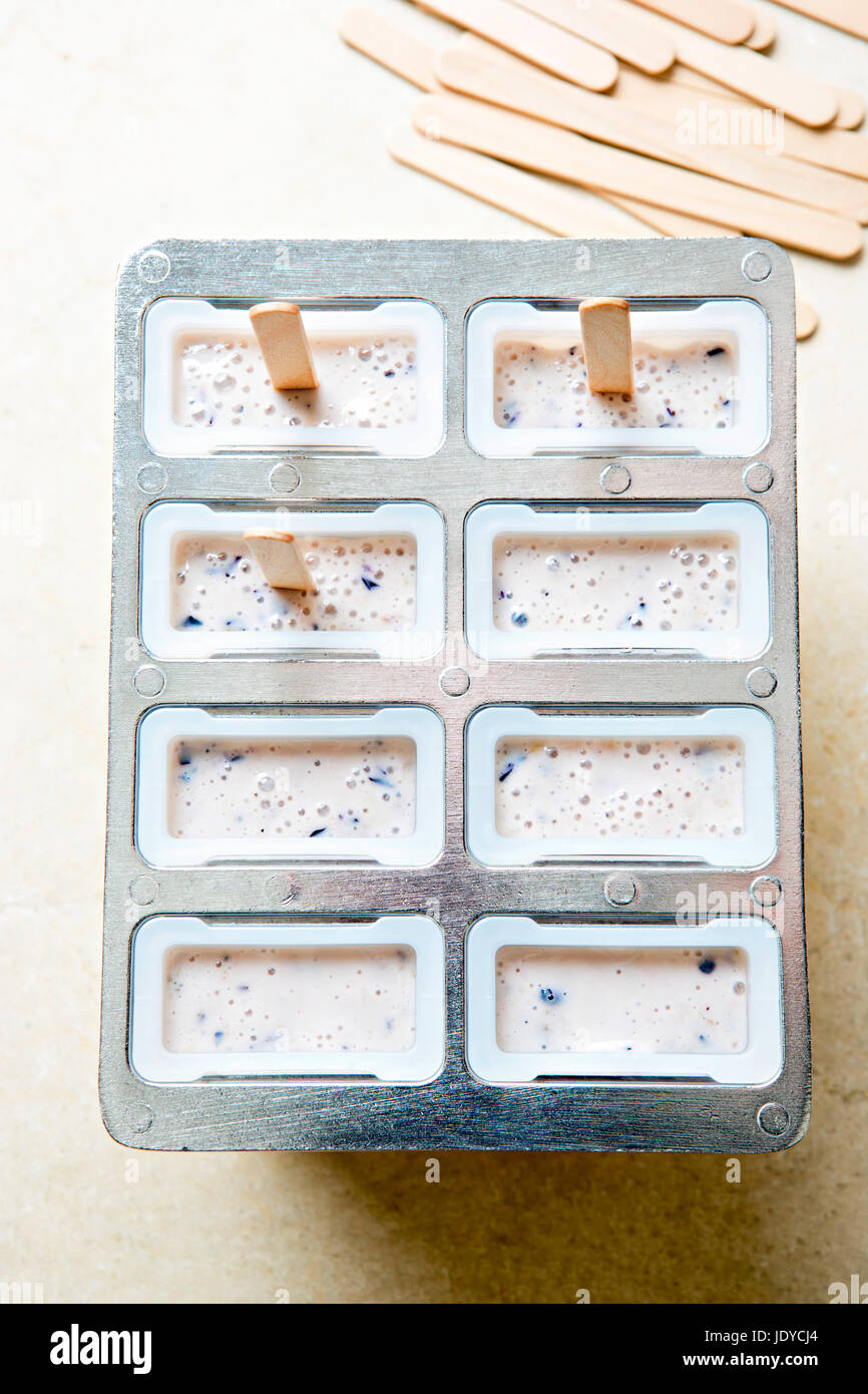 Congelatore pronto stampi con mirtillo yogurt gelato popsicles Foto Stock