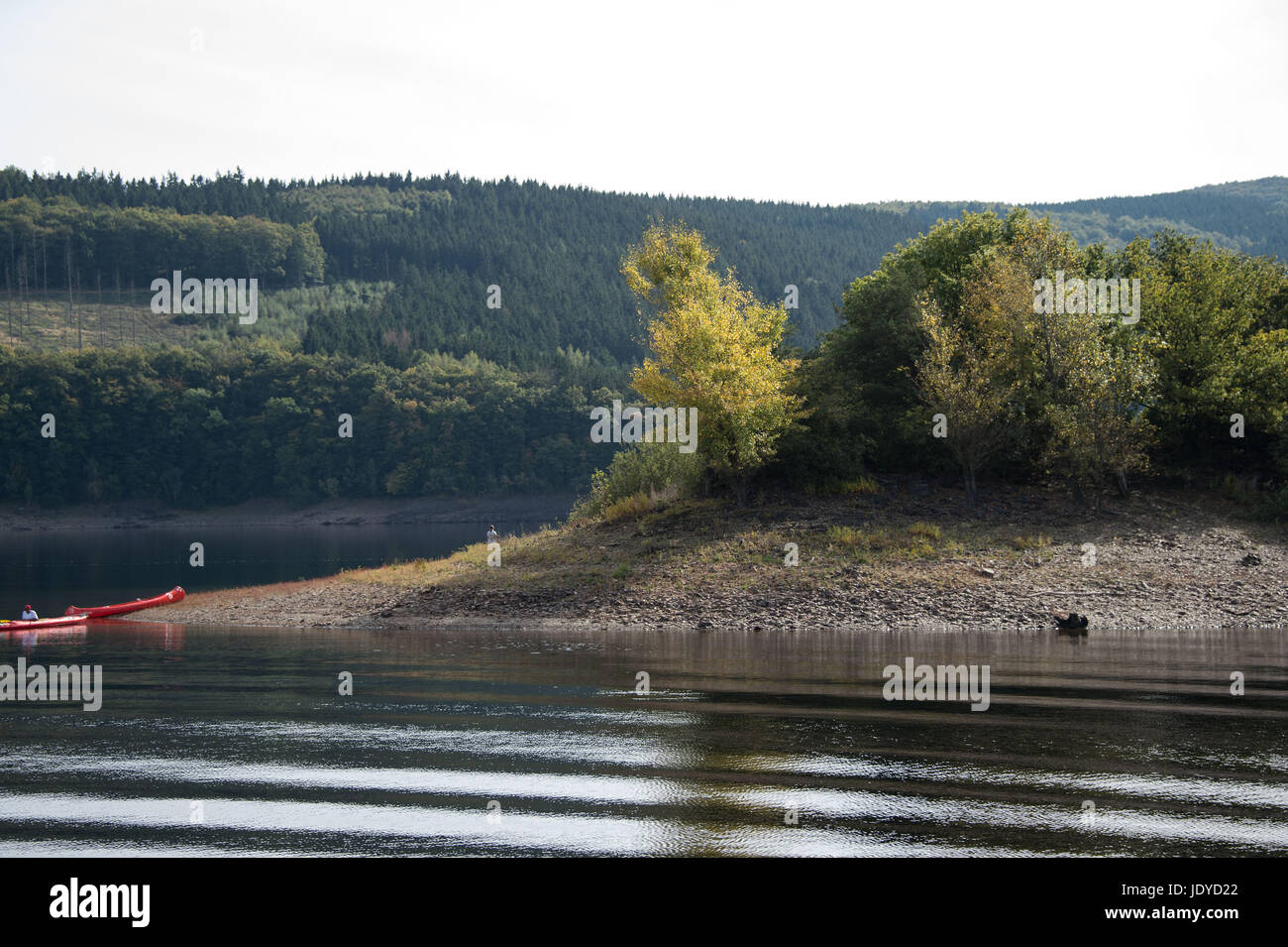 Nationalpark Eifel Foto Stock