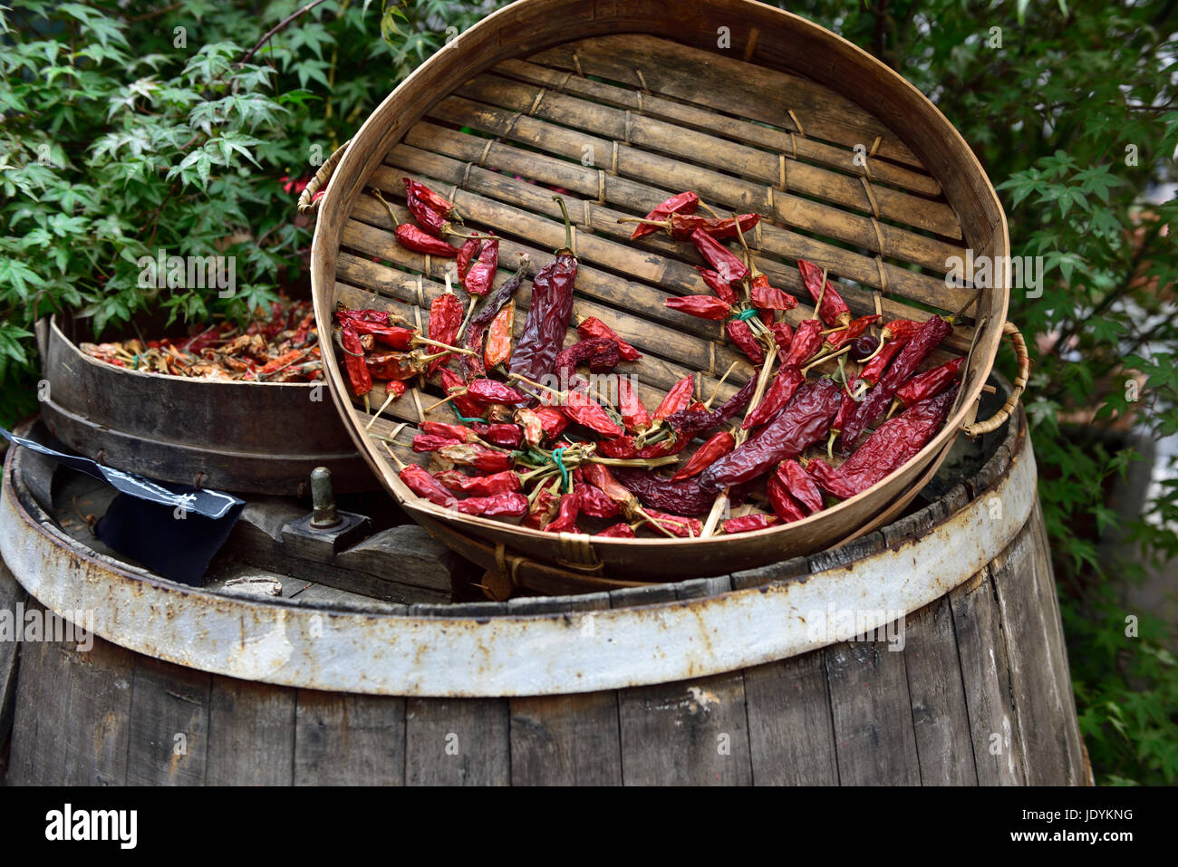 Visualizzazione di essiccato peperoncino rosso Foto Stock