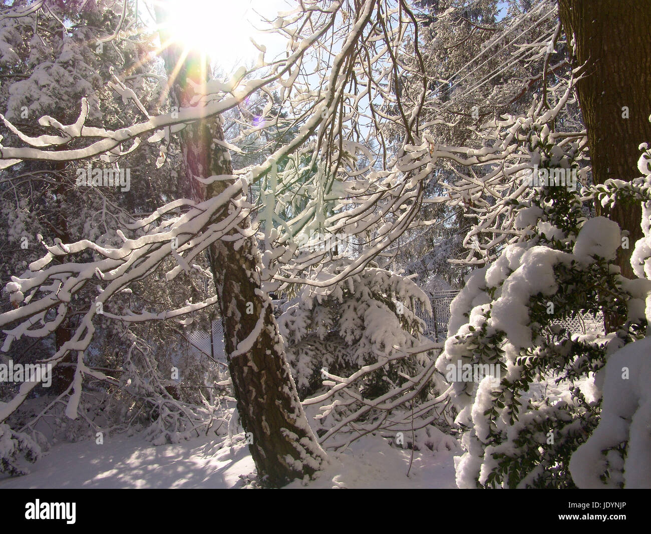 Bella bianco inverno. Una coperta di neve villaggio nel bosco. Sunrise. Foto Stock