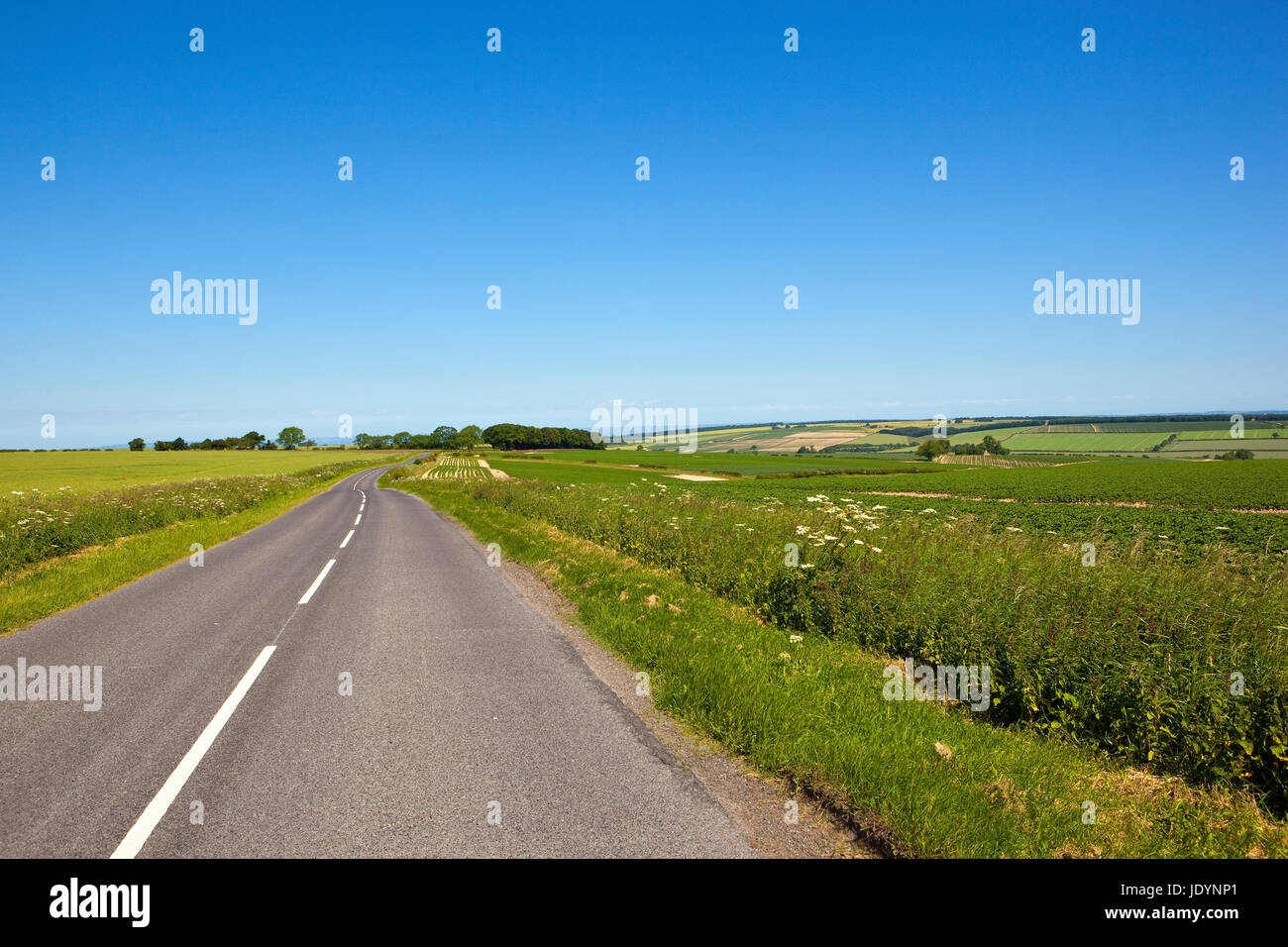 Una strada di campagna con boschi e campi di patchwork in yorkshire wolds sotto un cielo blu chiaro in estate Foto Stock