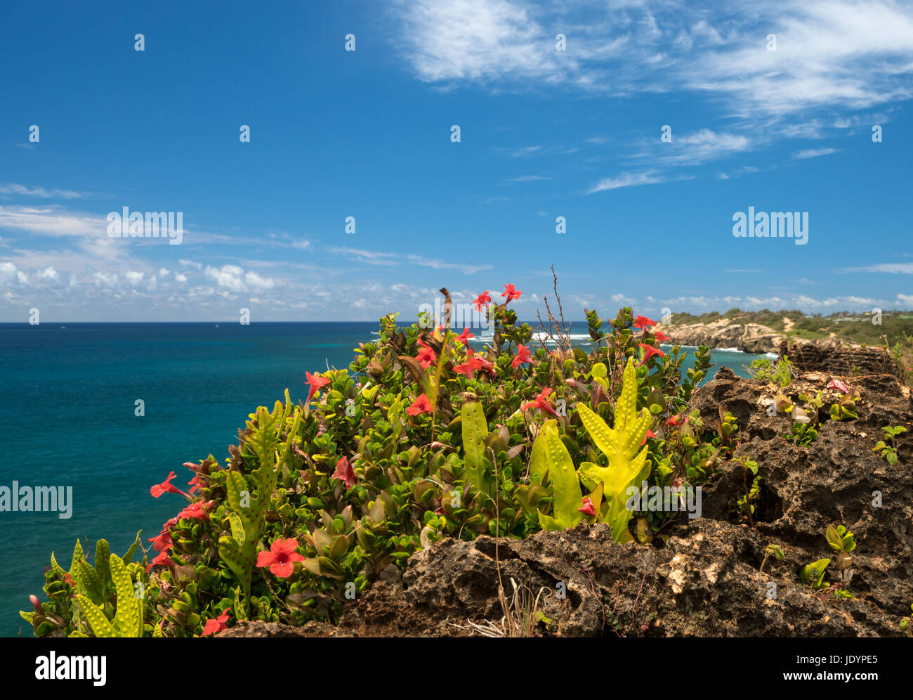 Makawehi bluff e Poipu in Kauai Foto Stock