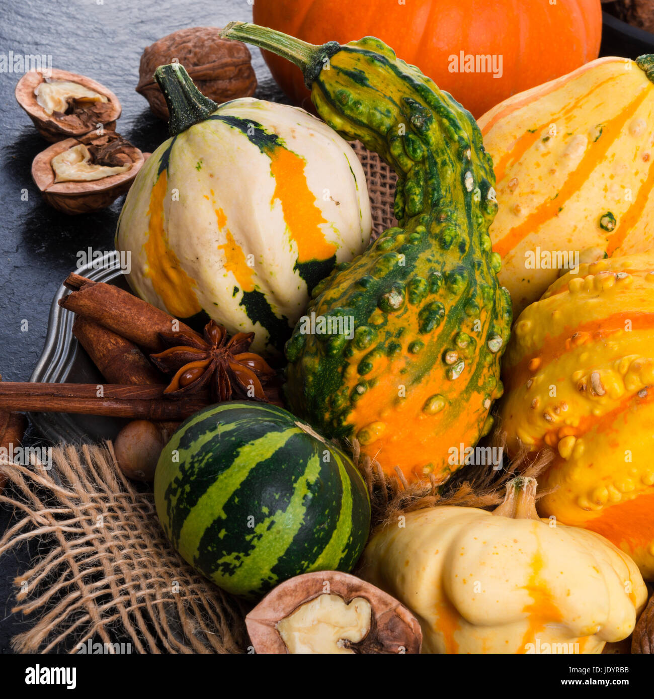 zucche di autunno Foto Stock