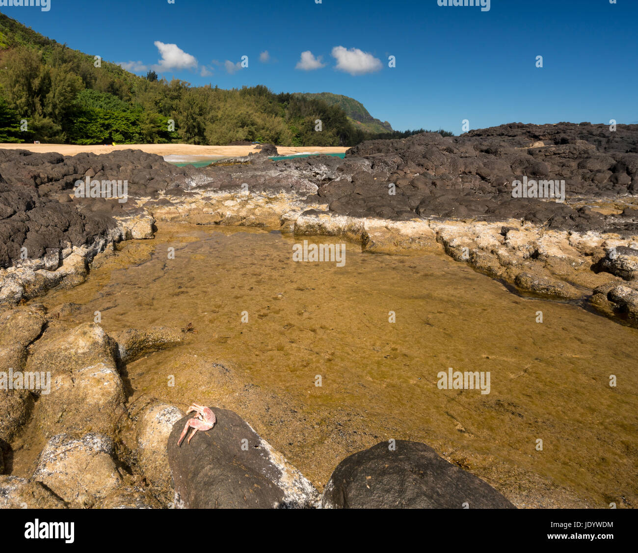Spiaggia Lumahai Kauai con rocce e granchio Foto Stock