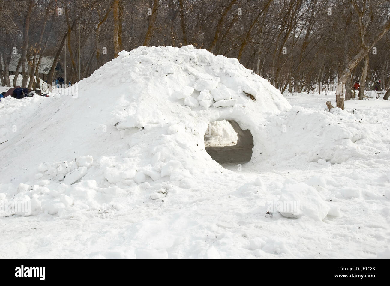 Grotta di neve costruito sulle montagne dello Utah. Questa grotta è abbastanza grande da ospitare 6 adulti Foto Stock