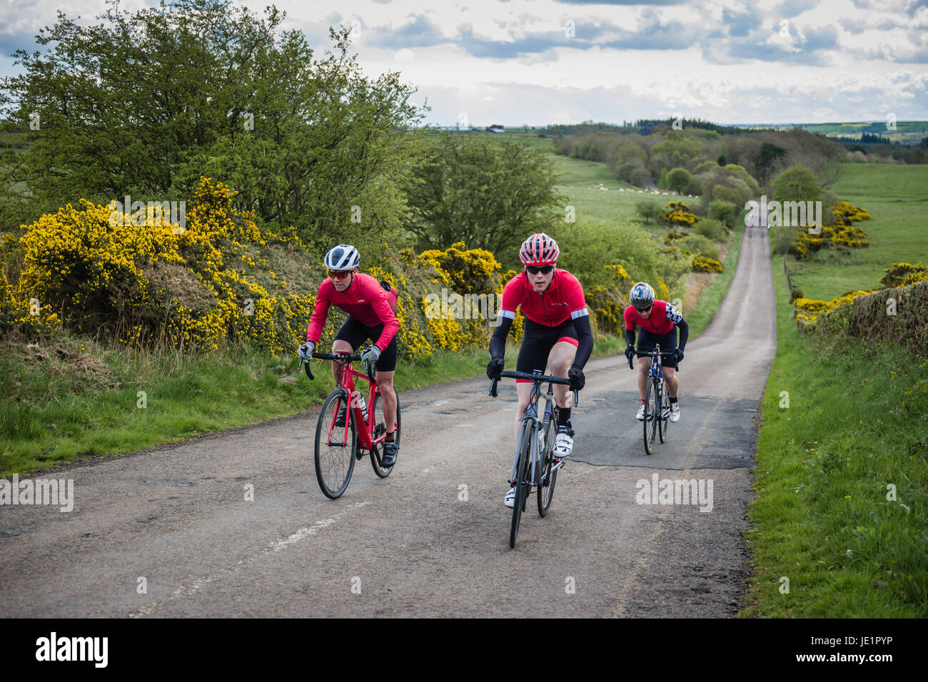 Escursioni in bicicletta nel parco nazionale di Northumberland, Regno Unito. Foto Stock