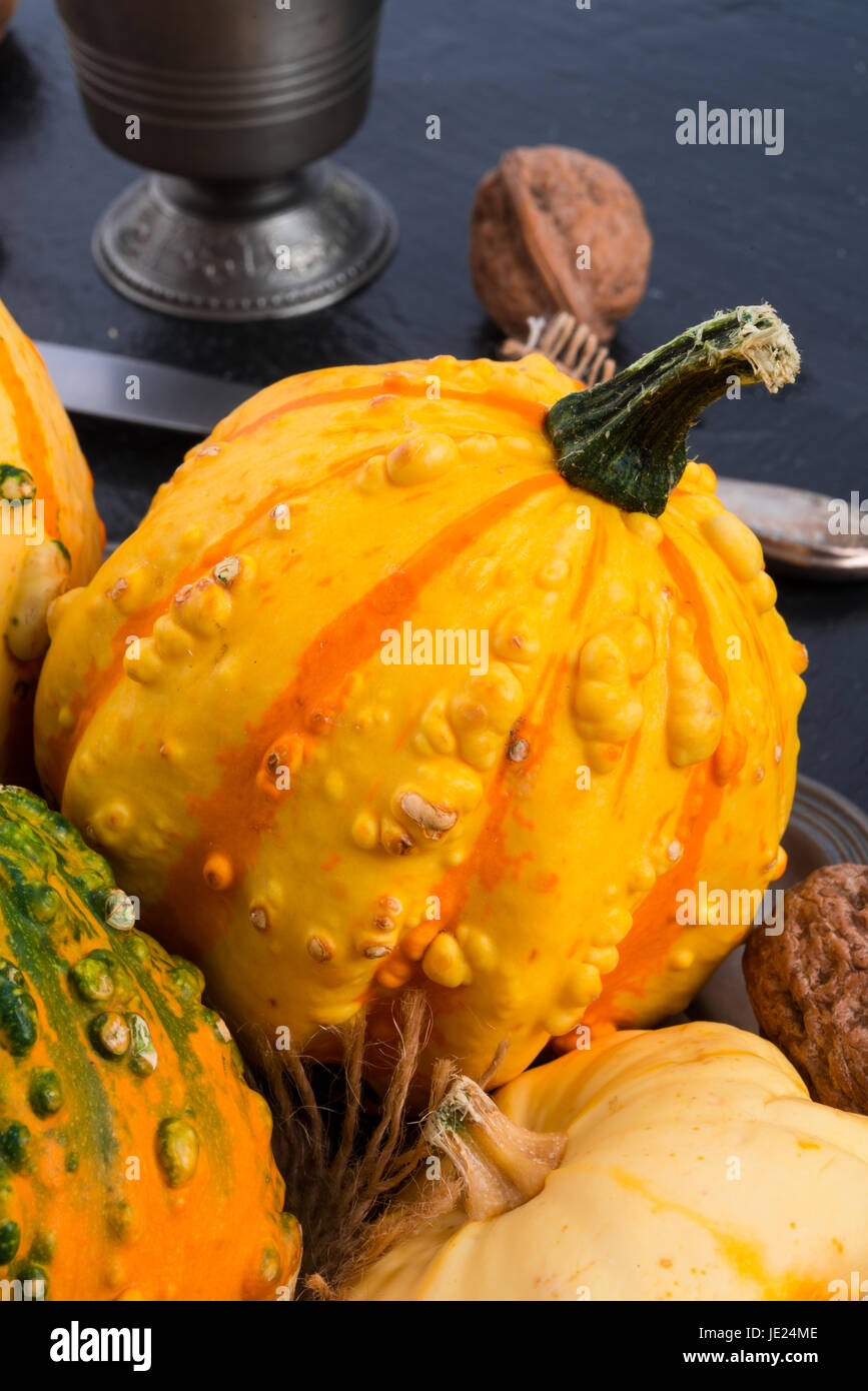 zucche di autunno Foto Stock