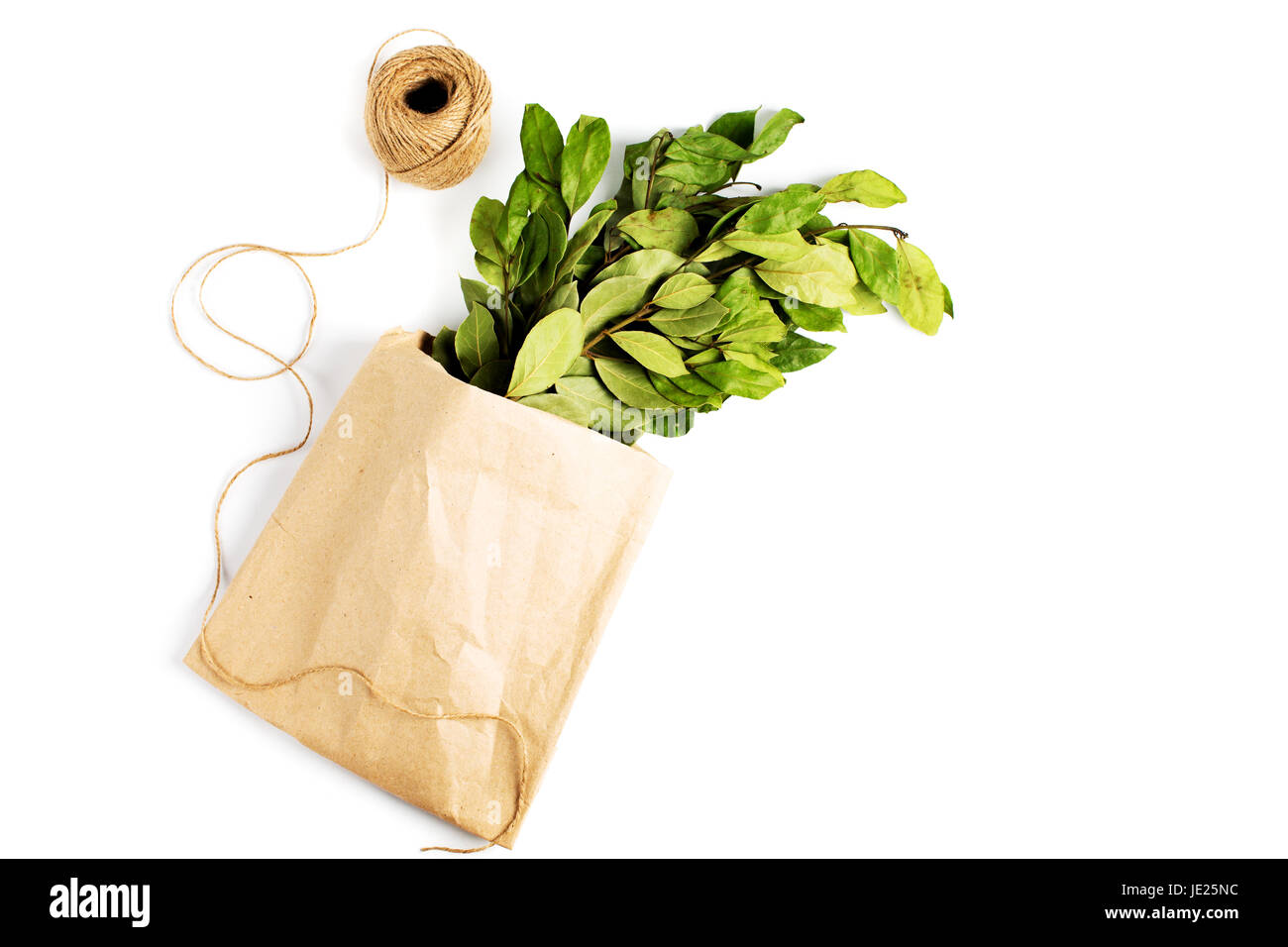 I rami di alloro foglie di alloro in sacchetto di carta su sfondo bianco Foto Stock