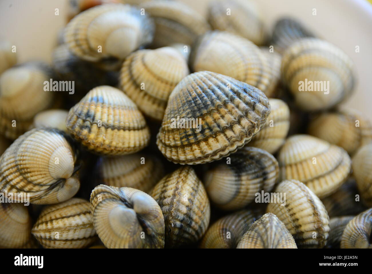 Gag scherzo Foto Stock