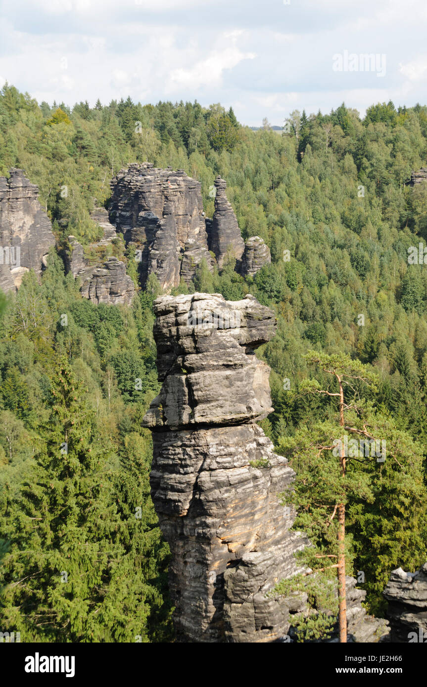 Aussicht im Bielatal, im Svizzera Sassone, Saechsische Schweiz. Foto Stock