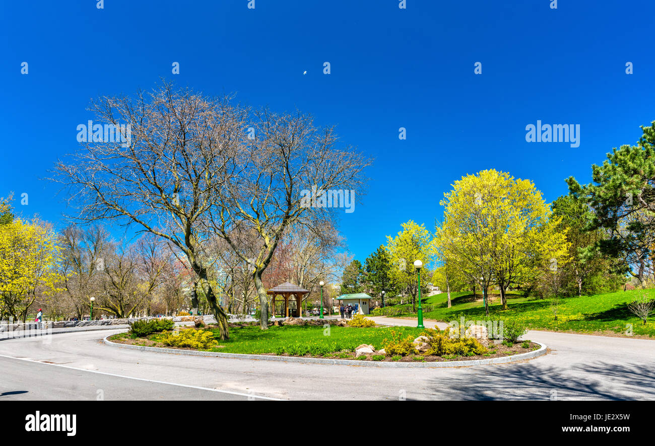 Vista delle Cascate del Niagara parco statale negli STATI UNITI D'AMERICA Foto Stock