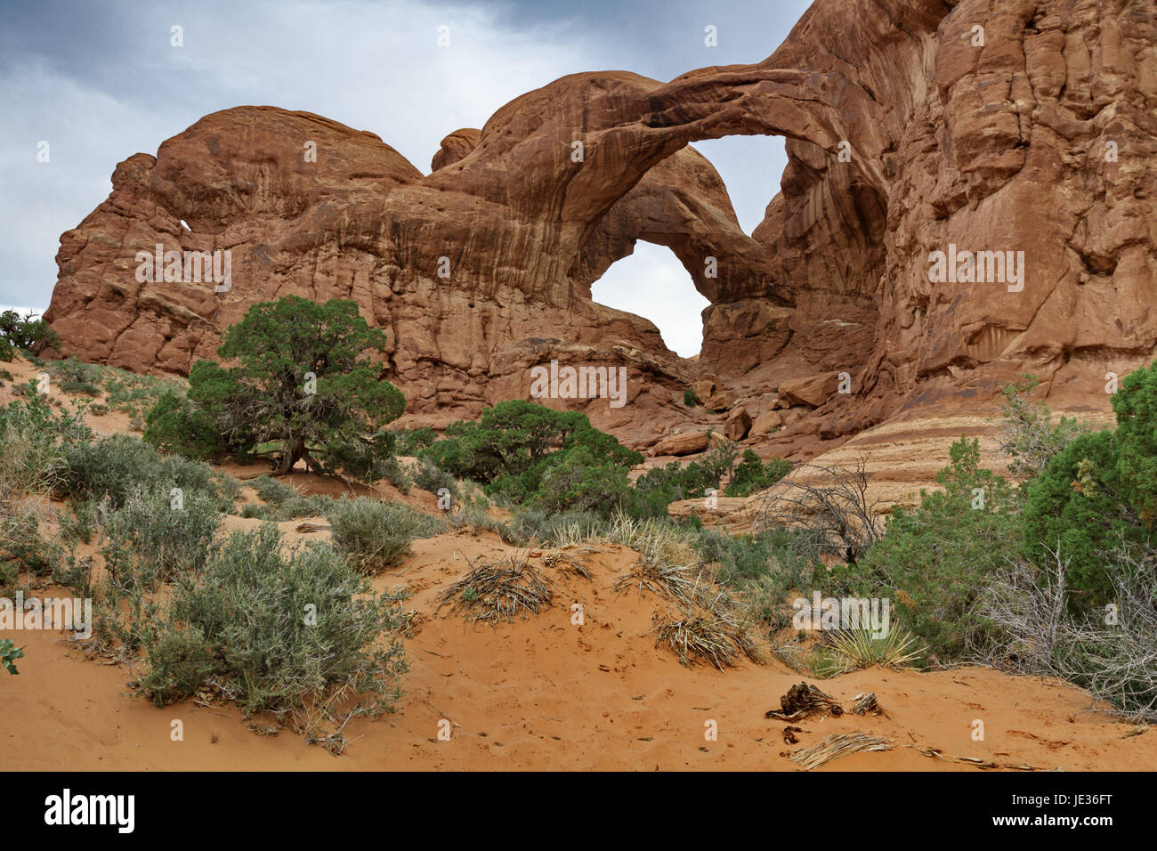 Affascinante il collocamento stretto di pietra arenaria naturale arcate doppie riflette selvaggio, bellezza unica di sabbia rossa e stark natura del parco nazionale di terra in Utah Foto Stock
