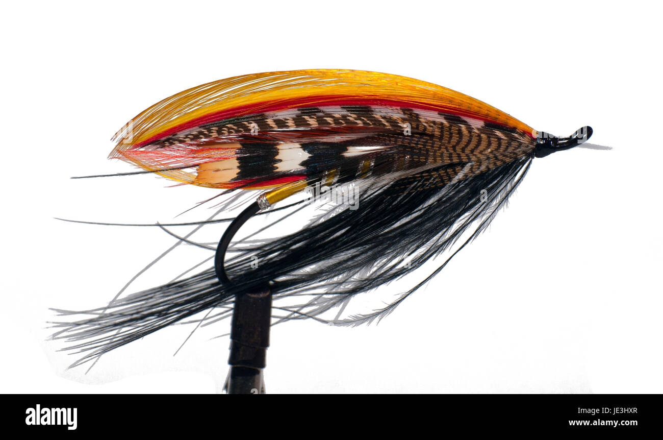 Cane nero volare, Northwest Fly Tyer & Fly Fishing Expo, Oregon Foto Stock