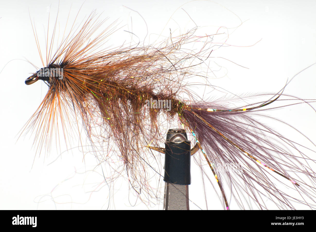 La pancetta nero volare, Northwest Fly Tyer & Fly Fishing Expo, Oregon Foto Stock