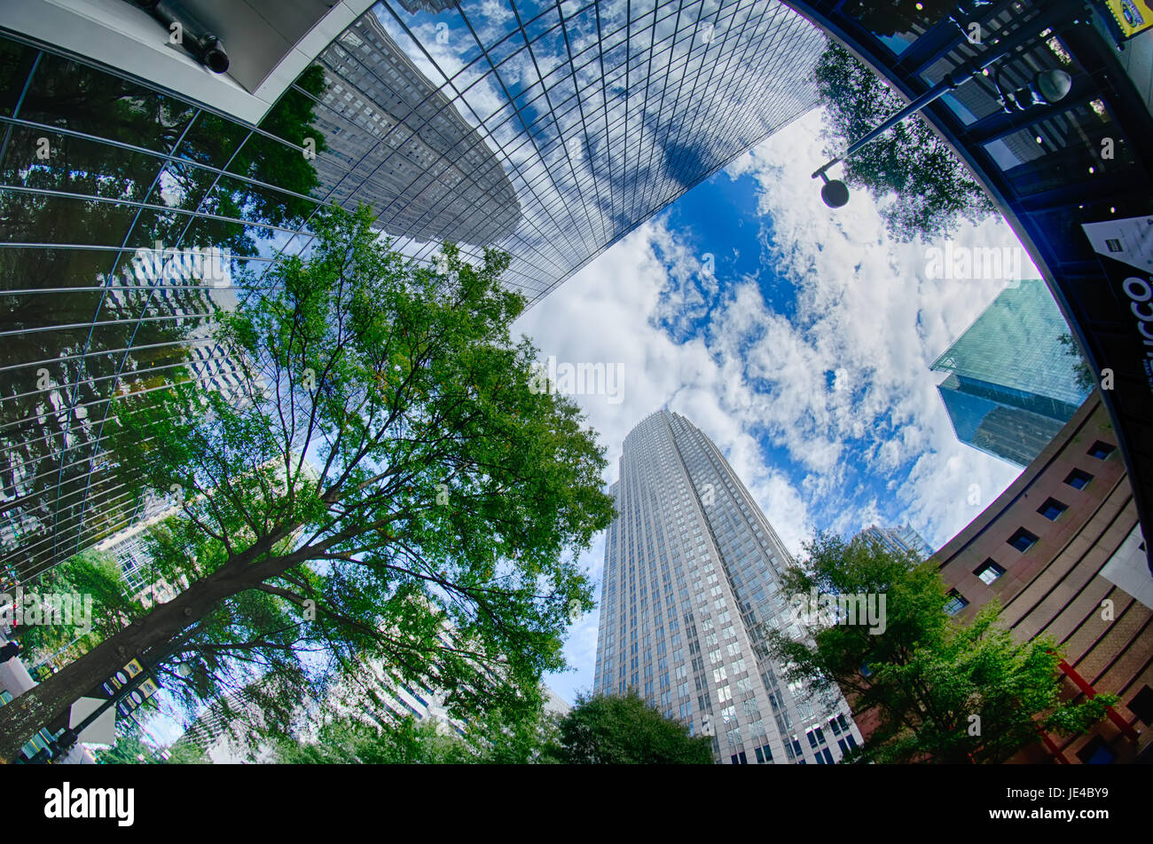 Finanziaria edifici grattacielo a Charlotte nella Carolina del Nord e Stati Uniti d'America Foto Stock