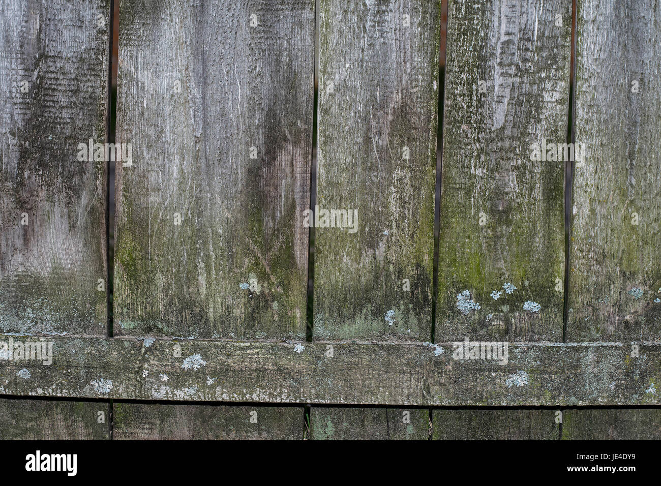 La consistenza del vecchio recinto di assi di legno coperto con moss Foto Stock